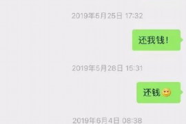 平顶山为什么选择专业追讨公司来处理您的债务纠纷？